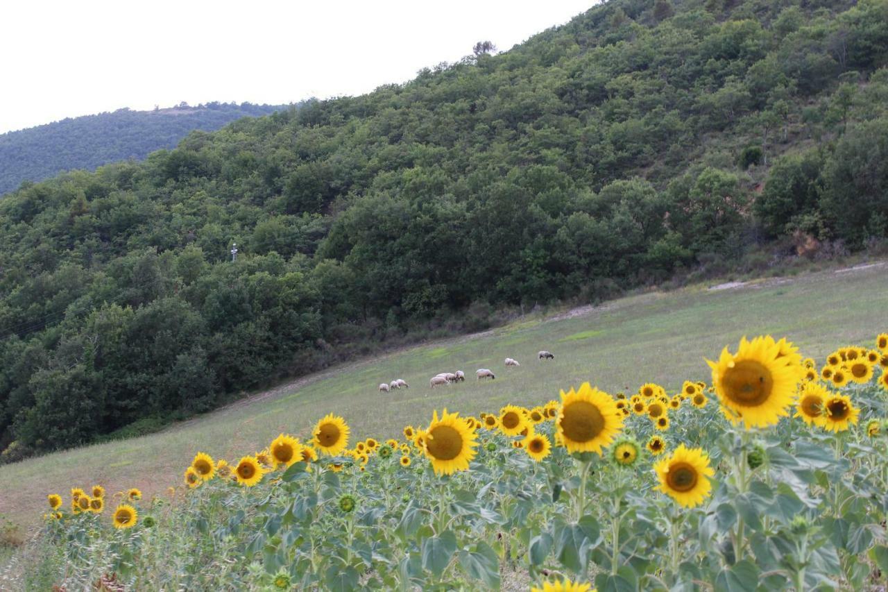 Agriturismo Roccagelli Vallo di Nera Eksteriør bilde